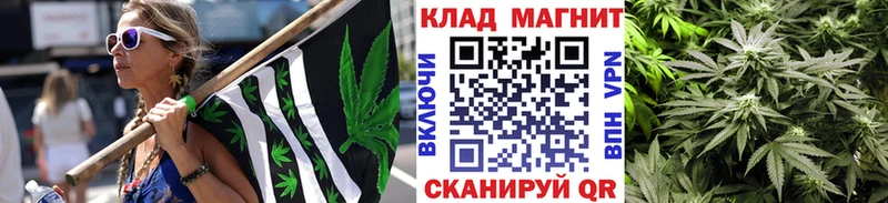 Наркотические вещества Сосновоборск Псилоцибиновые грибы Меф Амфетамин Канабис Кокаин