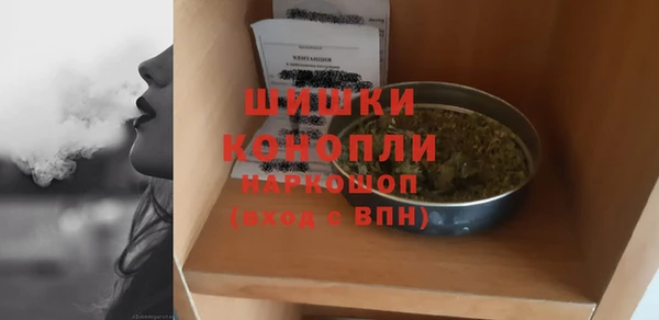 амф Арсеньев