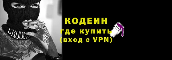 мет Няндома