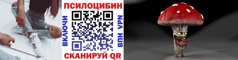 Галлюциногенные грибы GOLDEN TEACHER  OMG зеркало  Сосновоборск 